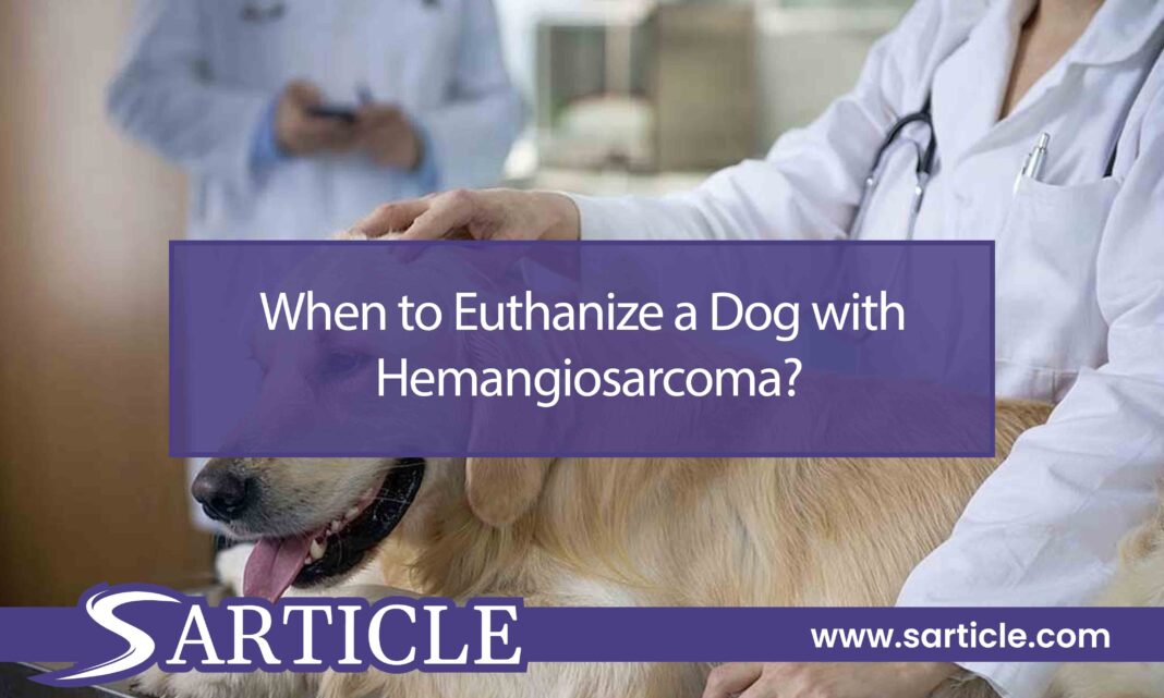When to Euthanize a Dog with Hemangiosarcoma?
