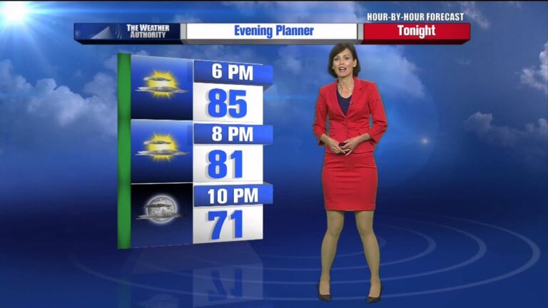 Cheryl Lemke Net Worth, Biography, Wiki, Age, Husband, Married, Salary, WICS-TV