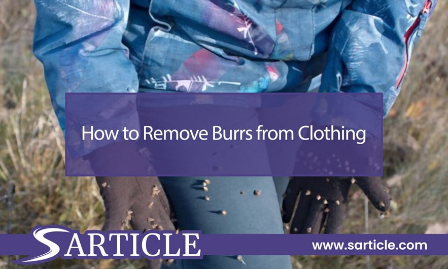 How to Remove Burrs from Clothing Featured Image