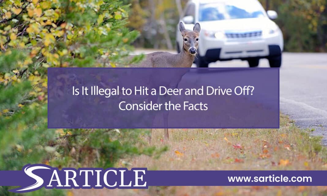 Is It Illegal to Hit a Deer and Drive Off Featured Image