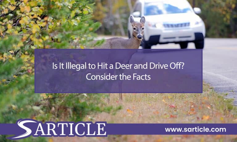 Is It Illegal to Hit a Deer and Drive Off? Consider the Facts
