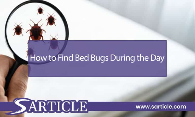 How to Find Bed Bugs During the Day: A Step-by-Step Guide