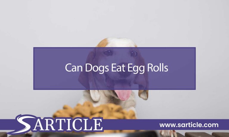 Can Dogs Eat Egg Rolls? Exploring the Risks and Benefits
