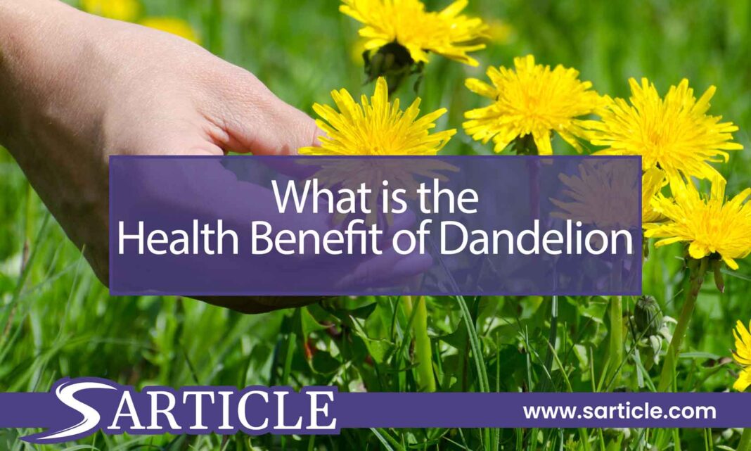 What is the Health Benefit of Dandelion